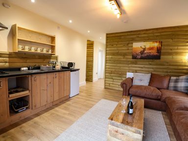 A kitchen and living area with wooden cabinets a brown sofa a wooden coffee table with wine glasses and a bottle on it and a painting of a deer on the wall at Rabbit Warren Lodge in Snettisham