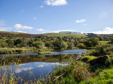 A river surrounded by grass and trees at Ty Twt Teifi in Tregaron
