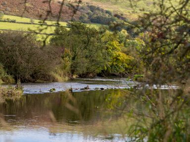 A river with trees along the bank at Ty Twt Teifi in Tregaron
