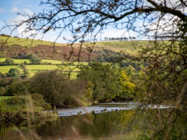 A view of a river with trees and hills at Ty Twt Teifi in Tregaron