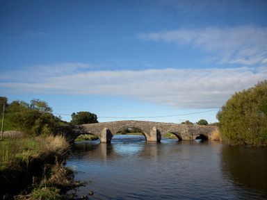 A stone bridge over a river with trees and grass at Ty Twt Teifi in Tregaron
