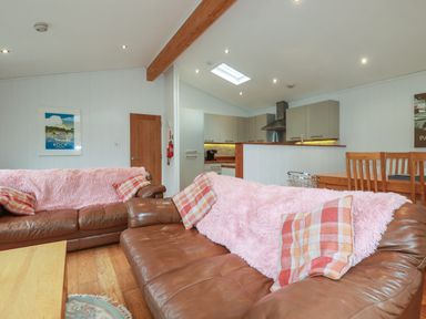 A living room with brown leather sofas covered with pink throws and checkered cushions at 1 Millers Island near Lanreath