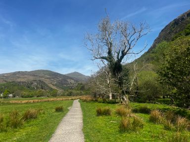 A gravel path through a grassy field with bare and green trees and mountains in the background at Quarrymans cottage in Beddgelert