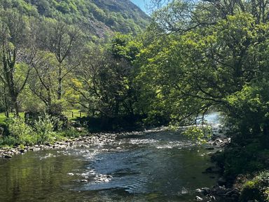 A river flowing through trees and rocks in a mountainous area at Quarrymans cottage in Beddgelert