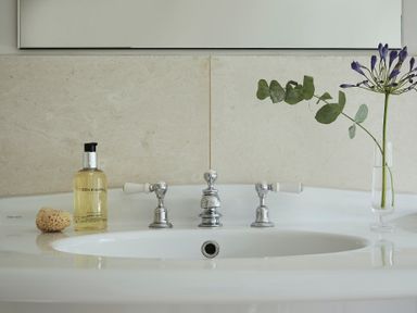 A bathroom sink with chrome faucets a bottle of hand wash a sponge and a flower in a glass vase at Tan Llan in Llanelltyd near Dolgellau