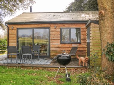 A wooden cottage exterior with a deck table and chairs a barbecue grill and a dog on the grass at Holm Oaks Cottage in Busbridge near Godalming