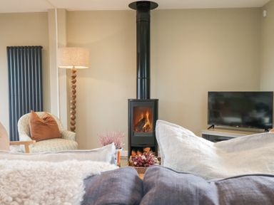 A living room with a wood stove fireplace a television chair with cushions and a floor lamp at Holm Oaks Cottage in Busbridge near Godalming