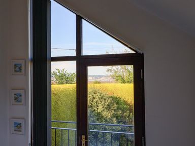 A window and door with a view of green foliage at 1 Eastdon Cottages in Exeter