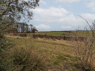 A rural field with grass bushes a stone wall and a wooden gate under cloudy sky at The Smithy in Chathill near Seahouses