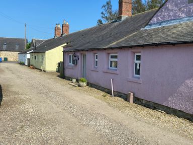 A row of single-story cottages with pink yellow and white walls along a gravel driveway at The Smithy in Chathill near Seahouses