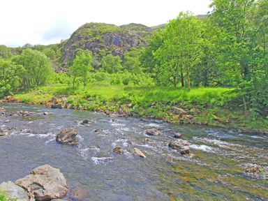 A river flowing with rocks surrounded by green trees and grass with hills in the background at Riverbank Cottage in Beddgelert