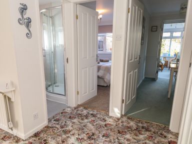 A hallway with floral carpet leading to a bathroom with shower a bedroom and a room with chairs at Samsons Place in Morfa Bychan