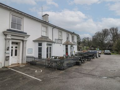 An exterior view of a white building with outdoor seating and parked cars at Lewis Lodge in St Ann's Chapel