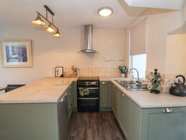 A kitchen with green cabinets a black oven a dishwasher a sink and mugs on a stand at Hollycombe in Ilfracombe