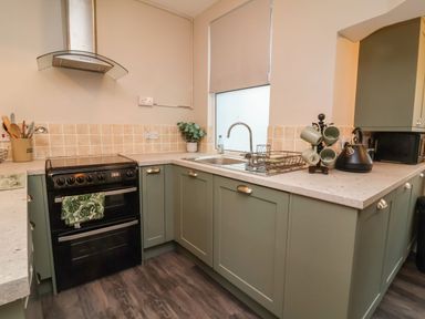 A kitchen with green cabinets a black oven a sink with a drying rack green mugs on a stand a kettle and a microwave at Hollycombe Ilfracombe