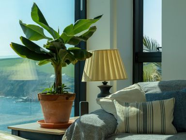 A potted plant and a table lamp next to a sofa with pillows by a window at Oystercatcher in Mevagissey