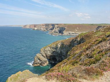 A coastal cliff with rocky shore and vegetation by the sea at 2 Rose Cottage in St Agnes