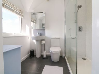 A bathroom with a sink mirror toilet shower and window at Buddicombe House in Combe Martin