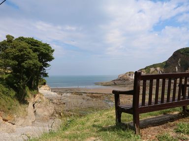 A wooden bench overlooking a rocky beach and sea with trees and cliffs in the background at Buddicombe House in Combe Martin
