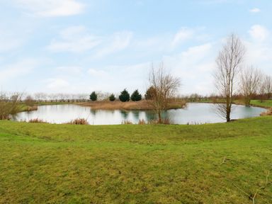 A grassy area with a pond and leafless trees at Cuckoo in Ramsey Huntingdon