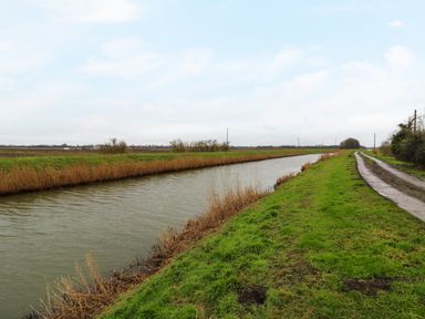 A canal with grassy banks and a dirt road running alongside in a rural area at Cuckoo in Ramsey Huntingdon