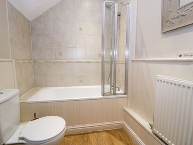 A bathroom with a bathtub with shower screen a toilet and a radiator at Glandwr Cottage in Llanbedr