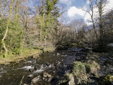 A river flowing through a rocky forested area with trees and undergrowth at Glandwr Cottage Llanbedr