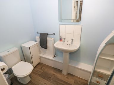 A bathroom with a toilet sink mirror towel radiator cabinet and wooden floor at Greenhaven in Narberth