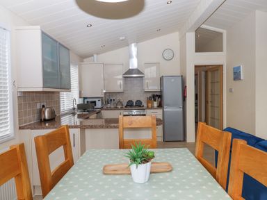 A kitchen and dining area with wooden chairs plant on table and appliances at Matilda Lodge in Newton Ferrers