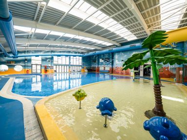 An indoor swimming pool with a shallow play area featuring animal sculptures and a palm tree at Ripples amp Reeds - Billing Aquadrome Holiday Park