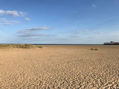 A sandy beach with sparse vegetation and a pier in the distance at 34 North Denes Road in Great Yarmouth