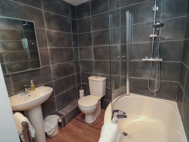A bathroom with a toilet sink bathtub and shower at The Forge in Nr.Seahouses