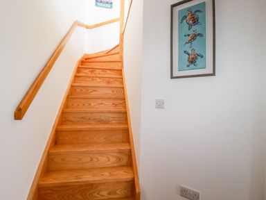Wooden staircase with handrails and a wall painting of turtles at Jacana in Perranporth