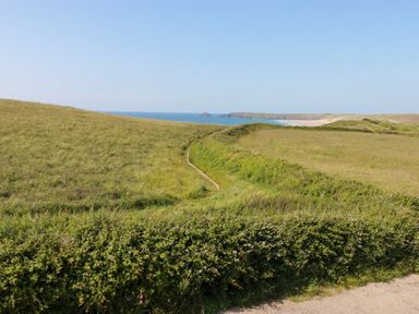 A coastal view with grass and a path at Jacana Perranporth