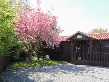 A wooden building with a covered porch and a pink flowering tree beside it at Orchard Retreat Staycation in Kirton