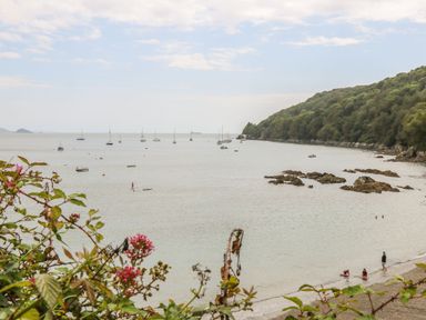 A coastal view with several boats on the water and a rocky shoreline with some people at Springfield in Kingsand