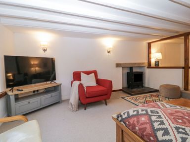 A living room with a red armchair a television on a stand and a wood stove at Springfield in Kingsand