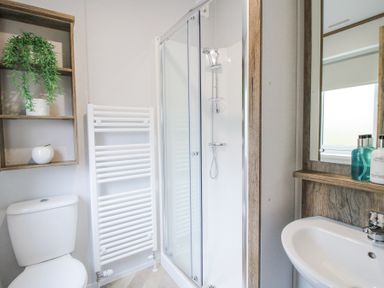 A bathroom with a toilet sink shower and a wooden wall shelf with a plant and an ornament at Peony in Eardisland