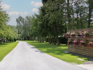 A gravel road lined with trees and grass with a wooden structure holding hanging flower baskets at Peony in Eardisland