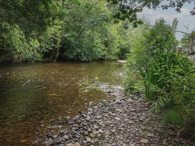 A shallow river with a rocky shore surrounded by trees and plants at Peony in Eardisland