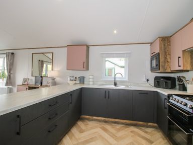 A kitchen with modern cabinets and appliances at Peony in Eardisland