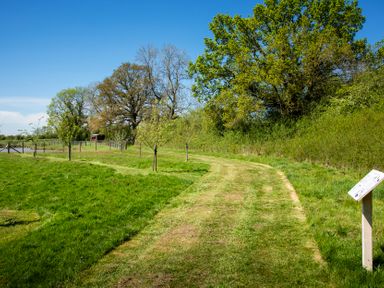 A path through grass and trees at Peony in Eardisland