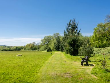 A path with a bench and a dog in a field at Peony in Eardisland