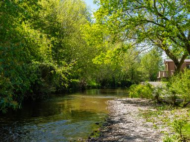 A river with trees and a building at Peony Eardisland