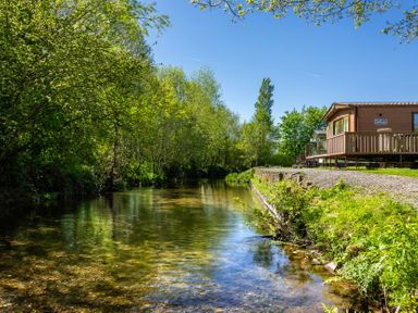 A cabin by a river surrounded by trees at Peony in Eardisland