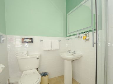 A bathroom with a toilet sink mirror towel rack and shower at Sycamore Apartment in Lifton