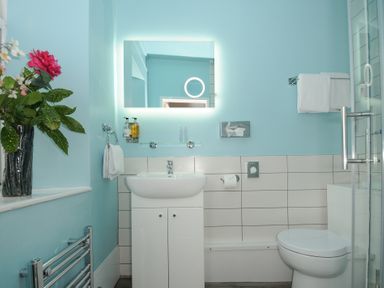 A bathroom with a sink and mirror and toilet and flowers on a windowsill at Sycamore Apartment in Lifton