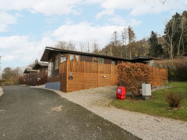 A row of wooden lodges with fenced decks along a paved driveway in a wooded area at Swifts Reach Lodge Kirkstone 10 Limefitt Park near Windermere