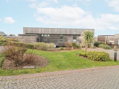 A modern wooden building with shrubs and a small palm tree in the garden at Hepworth in Portreath
