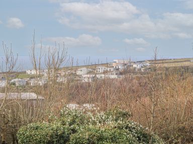 A landscape with leafless trees bushes and houses under a cloudy sky at Hepworth in Portreath